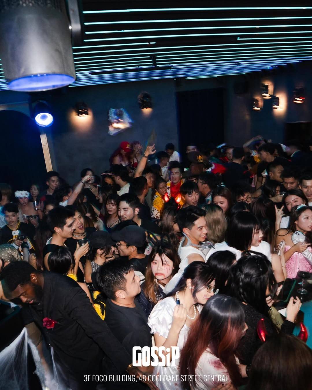 GOSSiP photo 5