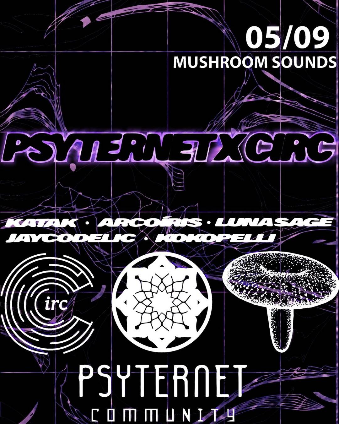 Psyternet x Circ Present: PSY Dimension